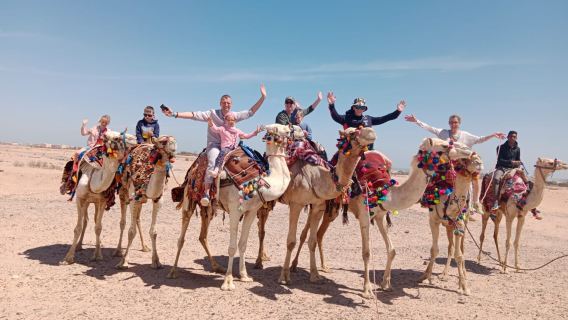 Cairo Your Way: Customizable Full-Day Tour with Camel Ride