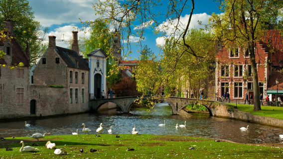 A 1-day tour from Brussels to Bruges, Belgium, including round-trip train tickets and Notre-Dame Basilica.