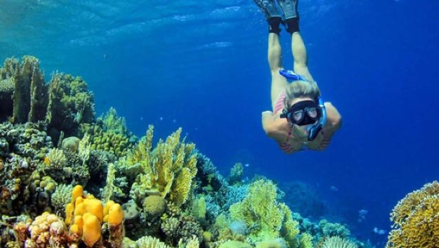 8-Hour Diving and Snorkeling Experience at Blue Lagoon Nusa Ceningan, Bali, Indonesia [Bali: Blue Lagoon Snorkeling]