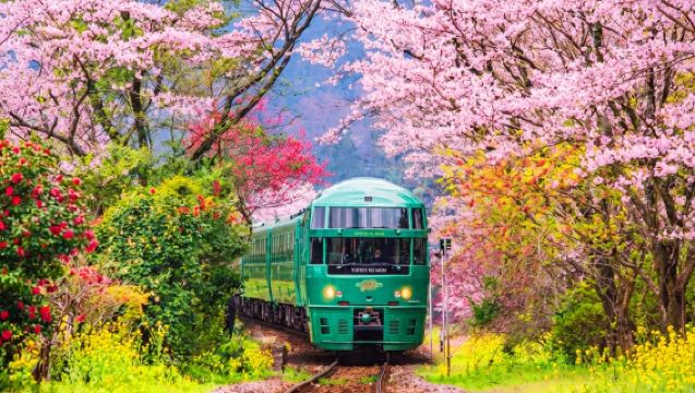 Fukuoka Beppu + Yufuin no Mori 1-day Tour [40-person Bus Group | Meeting Point Pickup]