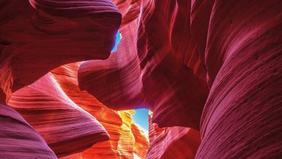 美國拉斯維加斯-羚羊谷-馬蹄灣-鮑威爾湖【中文包車自由行】