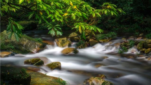 Zhangjiajie 1-day Tour: Forest Park + Huangshi Village + Yangjiajie + Tianzi Mountain | Customizable Itinerary