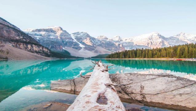 美國+鹽湖城+黃石國家公園一日遊/行程可調-可定制