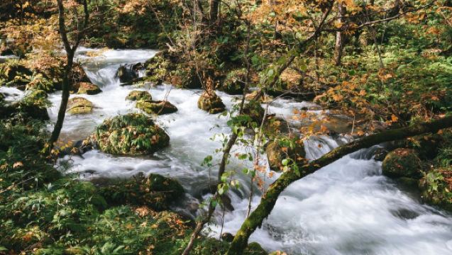 日本青森/奧入瀨溪流/八甲田山/十和田湖/小眾秘境地