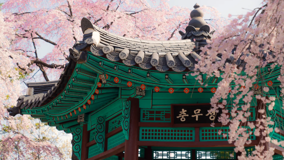 【商務考察專用】韓國全境翻譯+地陪 | 企業參觀/工廠考察/展會翻譯 | 中韓雙語專業翻譯 可跟全程