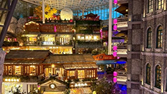 Palace Museum of the Manchurian Regime + Changchun Film Studio Museum + Zoological and Botanical Garden | A collision of history, culture, and popular check-in spots