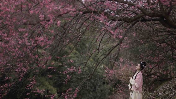 甘南Trip Moments【街拍抓拍空拍約拍跟拍婚拍攝影錄影/多語言翻譯】