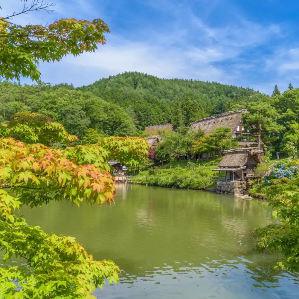 1-day tour to Hida's hidden gems from Takayama - Shinhotaka
