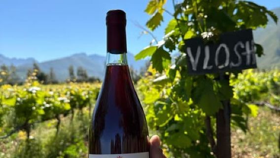 Wine Tasting & Traditional Albanian Food in Dukat