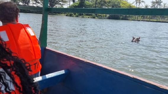 KISUMU:Lake Victoria Boatride, Hippoviewing and Birdwatching