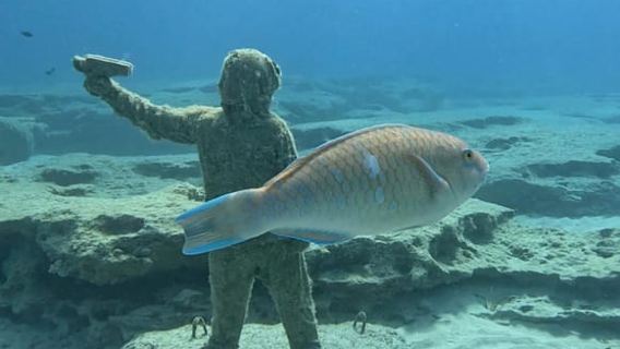 Limassol: Turtle Seeing Snorkeling Tour