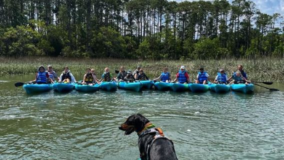 Hilton Head: Guided Kayak Sunrise or Sunset Tour