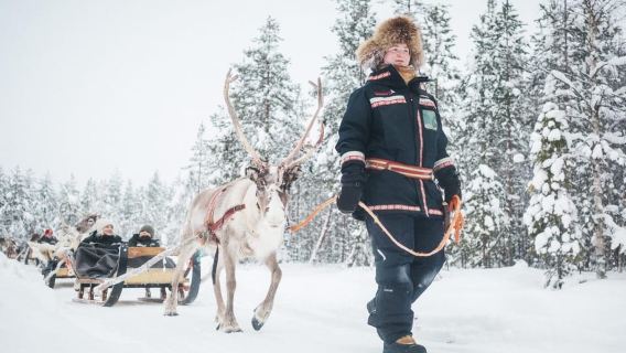 Rovaniemi: 2km Reindeer Sled Ride Through the Forest