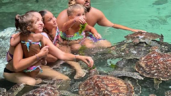 Zanzibar: Swim with Turtles Sanctuary Tour