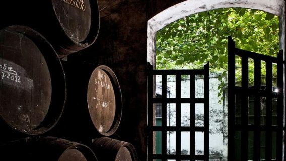 Barbadillo Winery Guided Tour in Cadiz with Wine Tasting