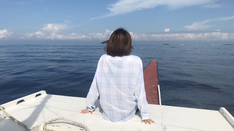薄荷島出海追蹤海豚+浮潛 特色螃蟹船觀光 中英文導遊可選拼團包團 2人起訂