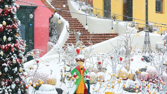 Xuất phát từ Seoul: Đảo Nami + Thung lũng Cheongpyeong + Làng Pháp nhỏ + Vườn cây cảnh Jeongdongjin