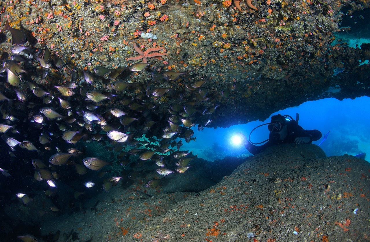 Fun Diving at Nha Trang Bay