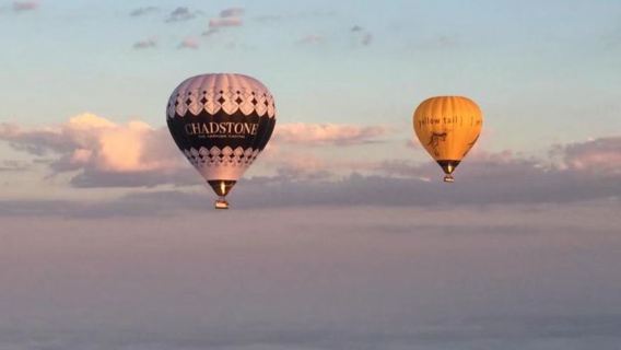 GeelongExperiences