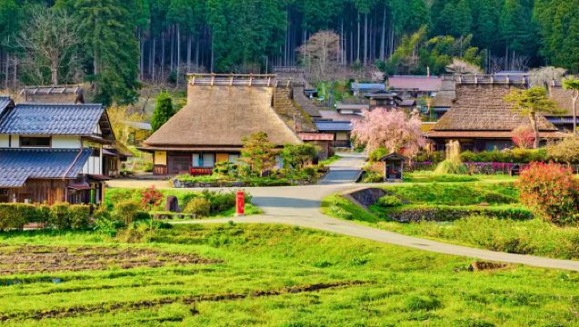 ทัวร์ 1 วันที่อะมะโนะฮาชิดาเตะ + บ้านเรืออิเนะ + หมู่บ้านคายาบุกิโนะซาโตะ พร้อมแจกขนมกุ้งและชมดอกซากุระ