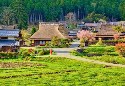 Kyoto in One Day: Amanohashidate, Ine Funaya & Miyama Thatched Village