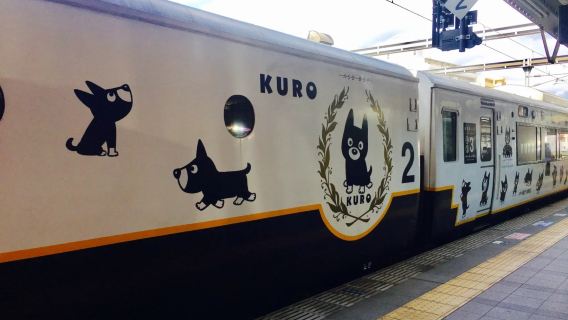 Ride the Aso Boy train, visit Kumamoto Castle and Kusasenri, and explore the breathtaking scenery of Aso Volcano.