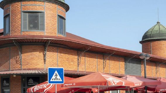 阿爾加維：從阿爾布費拉出發的一日遊