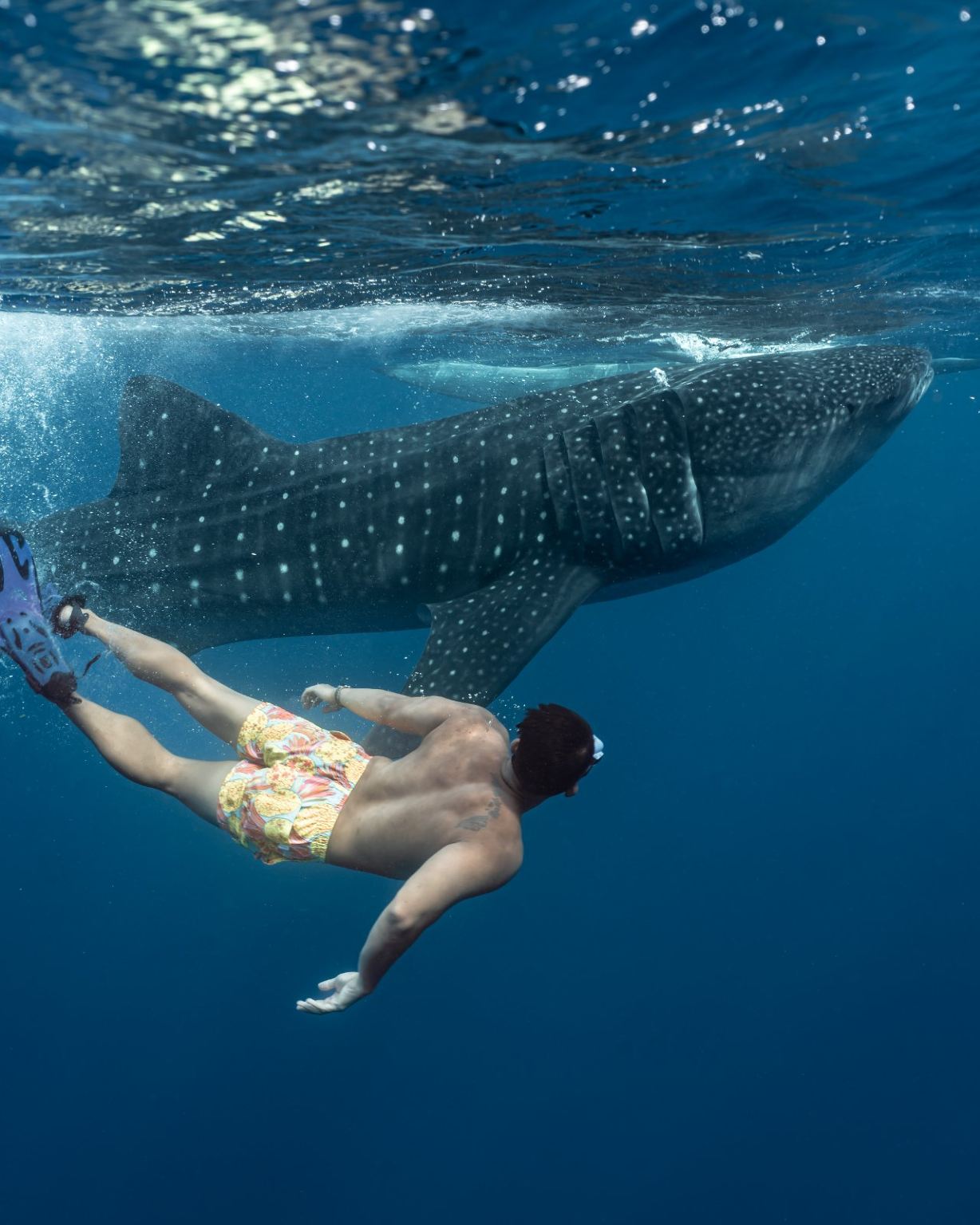 Walbeobachtung in Oslob mit Canyoning in Badian