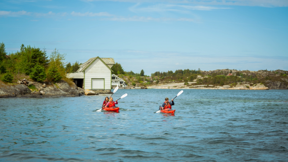 Norway Bergen sea cruise experience (Kayaking or fishing cruise optional + viewing Bergen suburbs Øygarden island + Bergen Round-trip)