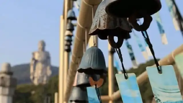 上海至無錫私人日遊靈山大佛+免費表演