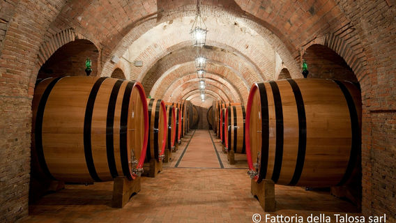 MontalcinoExperiences