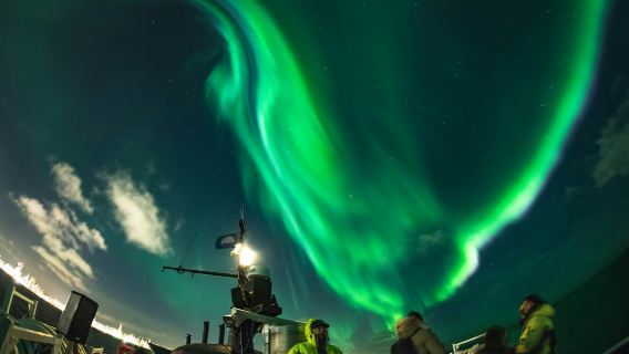 Northern Lights: 2-Hr Boat Tour + Alternative Plan