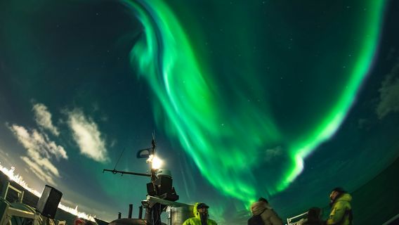 ReykjavikExperiences
