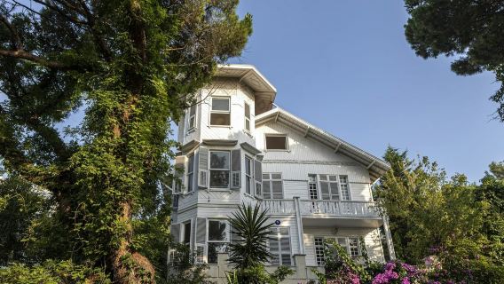 Istanbul: Princes' Islands Day Trip from Istanbul, Lunch + Transfer