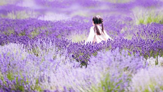法國馬賽·泉水小鎮的浪漫世界一日遊【包車靈活出行】普通話司導