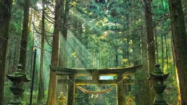 日本熊本阿蘇山+草千里+高千穗峽一日遊|遊輪碼頭/飯店接駁