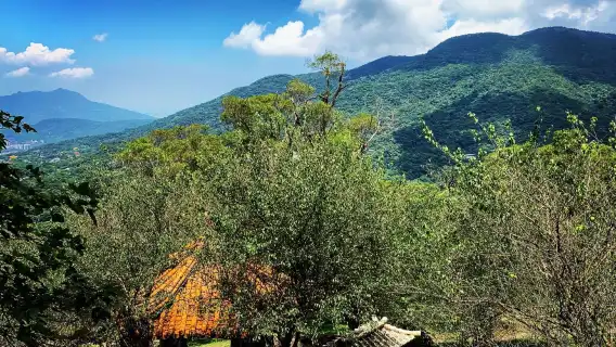 Taipei | Beitou Hot Springs Yangmingshan Mountain one-day tour