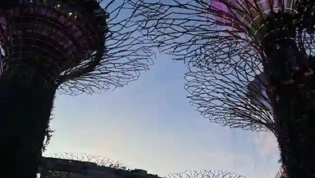 Singapore Flyer + Gardens by the Bay + Esplanade - Theatres on the Bay, Singapore + Merlion Park + The Helix Bridge