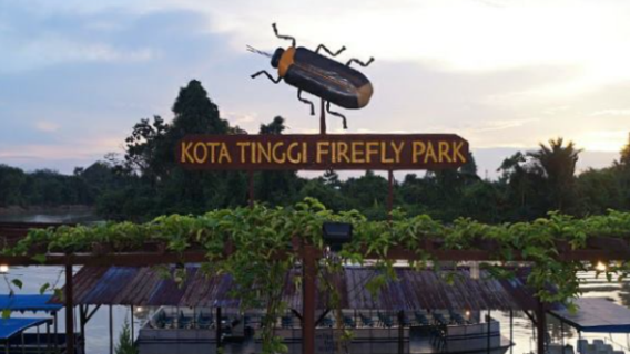 柔佛迪沙魯哥打丁宜螢火蟲遊船之旅【包含門票】 - 新山出發