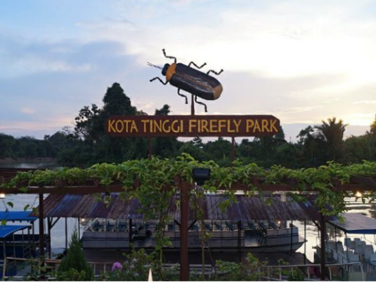 Du thuyền đom đóm Kota Tinggi Desaru Johor [Thuê xe riêng + bao gồm vé vào cổng] - Khởi hành từ Johor Bahru