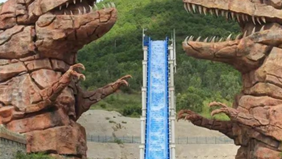 Autista privato e guida turistica a Chuxiong, servizi di accompagnamento, trasferimenti, fiere turistiche, visite aziendali e assistenza medica