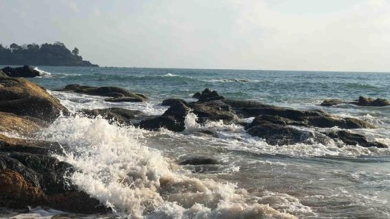 Baga/Calangute: South Goa Full-Day City Sightseeing Tour