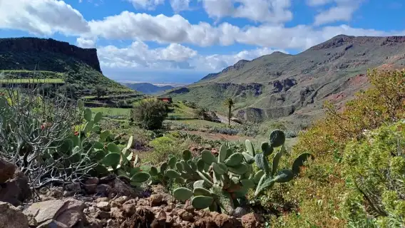 Maspalomas: Barranco de las Vacas & Caves with Sky Rebels