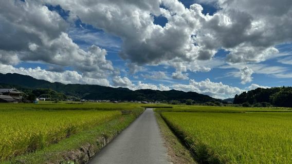 Nara: Asuka, Cố đô & Tour riêng di sản tương lai