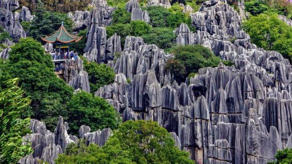 Area panoramica della foresta di pietra + anatra arrosto di Yiliang + tour privato della città di Kunming