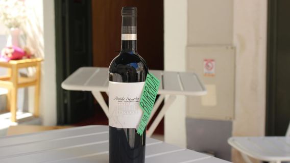 Coimbra: Nachttour mit Fado-Musik, Wein und Verkostung
