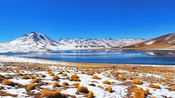 Atacama: Piedras Rojas, Socaire, and Altiplanic Lagoons Tour