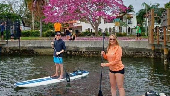 St. Petersburg: Paddle Board Tour with Wildlife Spotting