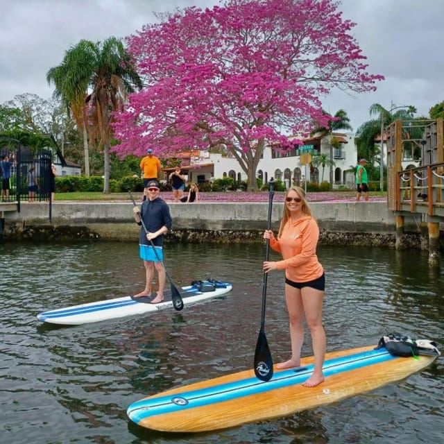 St. Petersburg: Paddle Board Tour with Wildlife Spotting