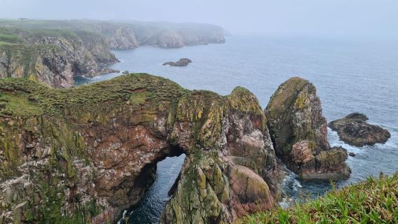 From Aberdeen: Coastal Villages of Aberdeenshire Tour